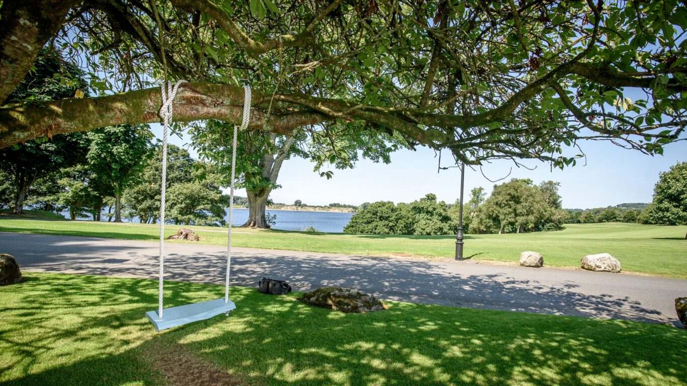 Tulfarris-Hotel-Golf-Resort-Swing-overlooking-Blessington-lakes